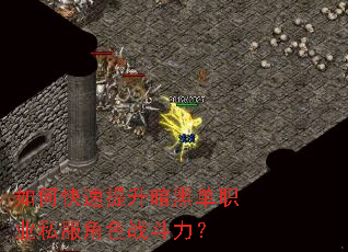 ��ο����������ڵ�ְҵ˽����ɫս������