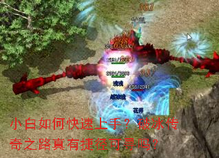 С����ο������֣��Ʊ�����֮·���нݾ���Ѱ��