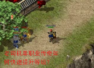 ��˾����ְҵ������ο��������ȼ���