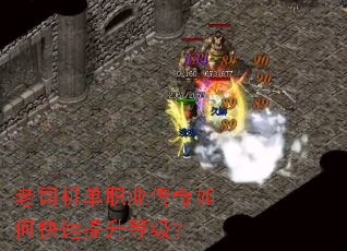 ��˾����ְҵ������ο��������ȼ���