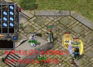 ��ο��������������б䴫���ս�����ȼ���