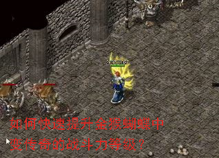 ��ο��������������б䴫���ս�����ȼ���