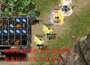 ��ο���������ְҵ���ڴ��浥����Ľ�ɫս������