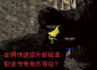 ��ο��������°浥ְҵ�����ɫ�ȼ���