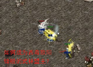 ��γ�Ϊ����ŷ����������������