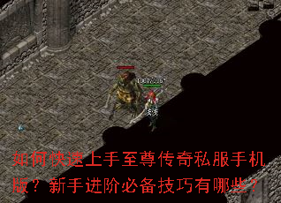 如何快速上手至尊传奇私服手机版?新手进阶必备技巧有哪些? 如何快速上手至尊传奇私服手机版?新手进阶必备技巧有哪些?