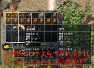 如何快速上手至尊传奇私服手机版?新手进阶必备技巧有哪些? 如何快速上手至尊传奇私服手机版?新手进阶必备技巧有哪些?