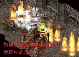 ��ο�������Ψ�����������еĽ�ɫ�ȼ���