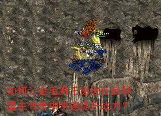 如何让金毛狮王谢逊在武林盟主传奇中快速提升战力? 如何让金毛狮王谢逊在武林盟主传奇中快速提升战力?