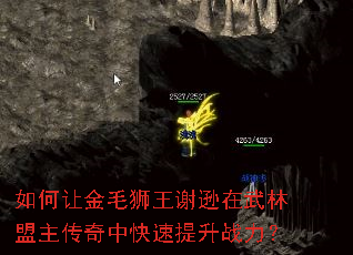 如何让金毛狮王谢逊在武林盟主传奇中快速提升战力? 如何让金毛狮王谢逊在武林盟主传奇中快速提升战力?