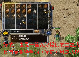 �õģ�����һƪ�����ṩ������Ϊ���ĵġ�����רҵ��ɫ�ġ����桷��Ϸ�������¡�