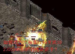 ��γ�Ϊ�׺���9196����302300249�����Ĵ�����֣�