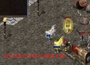 �����������ɭ�ֵ���ڤ���ȣ�