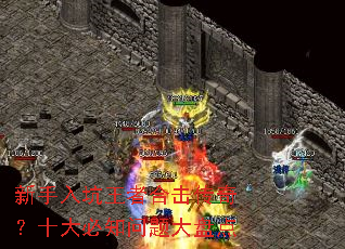 ����������ߺϻ����棿ʮ���֪������̵�