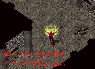 ����������ߺϻ����棿ʮ���֪������̵�