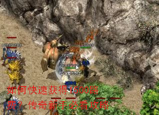 ��ο��ٻ��1500·�ѣ��������ֱؿ�����