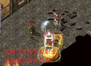 ���ѡ����¼ְҵ���ܳ�Ϊ������ң�