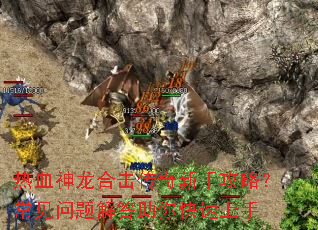 热血神龙合击传奇新手攻略?常见问题解答助你快速上手 热血神龙合击传奇新手攻略?常见问题解答助你快速上手