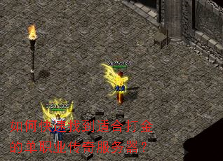 如何快速找到适合打金的单职业传奇服务器? 如何快速找到适合打金的单职业传奇服务器?