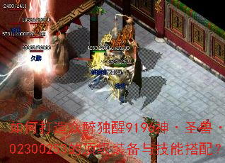 如何打造众醉独醒9196神·圣兽·朱雀302300253的顶级装备与技能搭配? 如何打造众醉独醒9196神·圣兽·朱雀302300253的顶级装备与技能搭配?