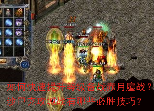 ��ο��������ȼ���ս������ս��ɳ�Ϳ˹���ս����Щ��ʤ���ɣ�