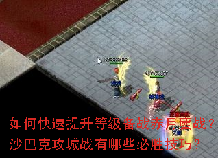 ��ο��������ȼ���ս������ս��ɳ�Ϳ˹���ս����Щ��ʤ���ɣ�