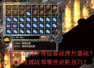 ��ο��������ȼ���ս������ս��ɳ�Ϳ˹���ս����Щ��ʤ���ɣ�