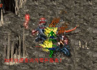 ��ο��ٲ�ѯ���濪������