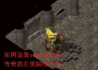 �������yong��ְҵ��������������